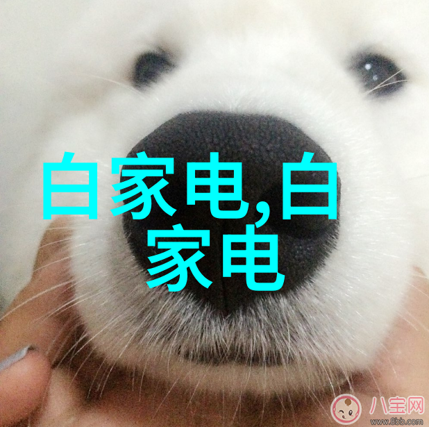 水质分析仪器快速检测新时代的生态守护者