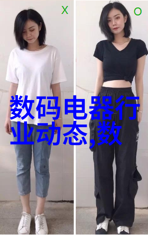 岩石间的和谐鲍尔环填料的规整之谜