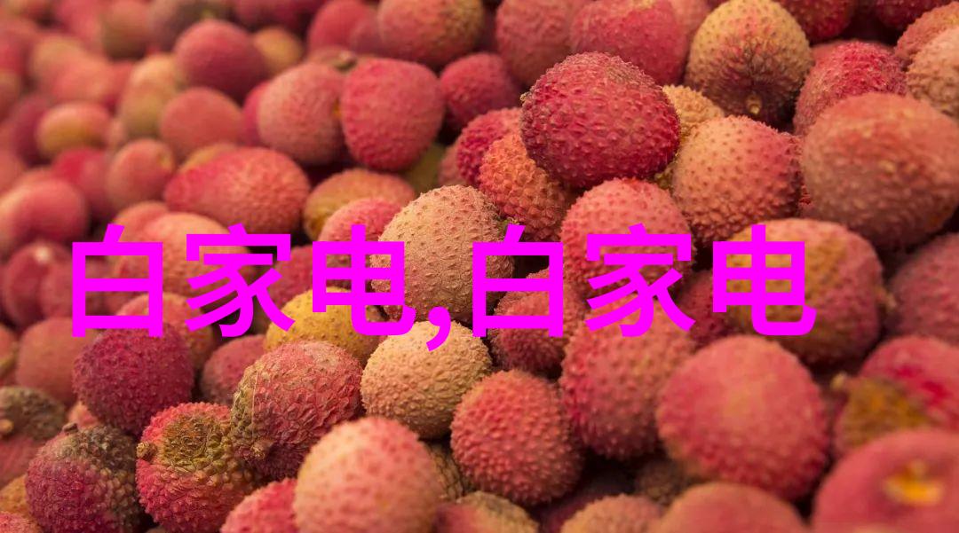 蜗居生活体验分享深度探索现代室内设计与家居用品