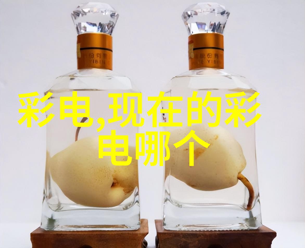 九阳小家电之谜隐藏在厨房角落的秘密品种