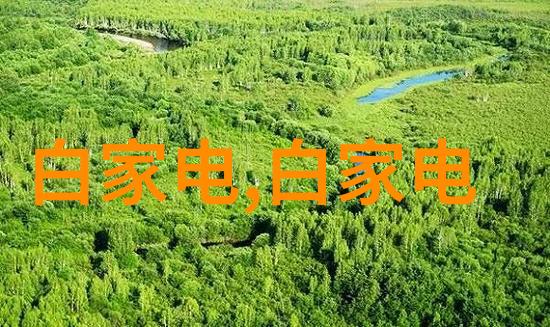 穿越时空的秘密通道TTTZZZ传送门2024的奇幻探险