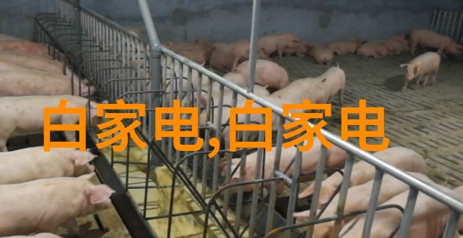 不锈钢DIY工艺的艺术探索