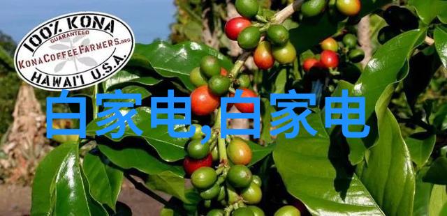管材-管材分类与应用全解析塑料管钢管铝管等你必须了解的种类
