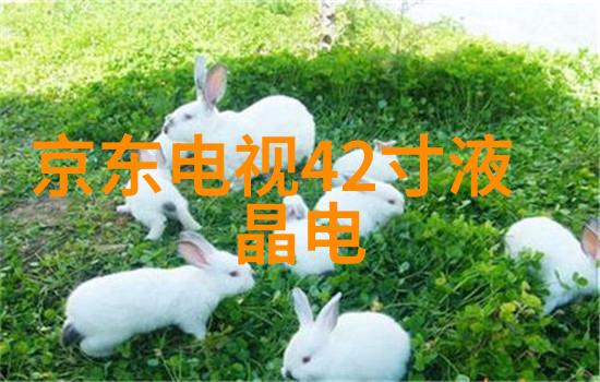 工业废气治理 - 蓝天保卫者揭秘工业废气治理的高科技革命
