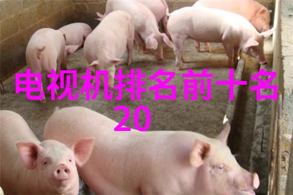 净水器配件批发市场-清流宝库揭秘净水器配件批发市场的秘密