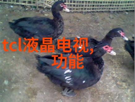 螺旋式输送机的运作原理与应用场景分析
