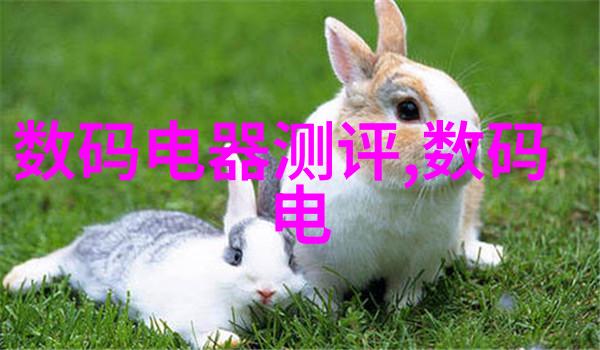 潮流与音乐-19岁RAPPER潮水欢迎你老狼青春逆袭的节奏之旅