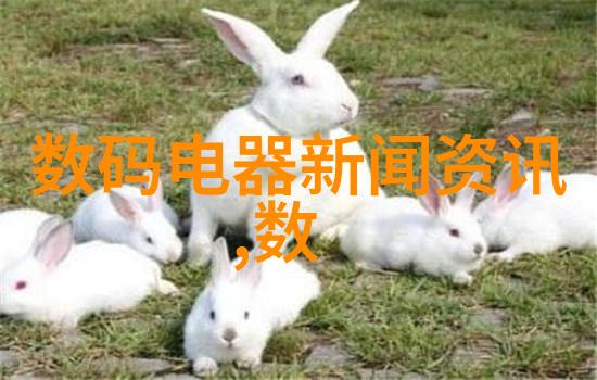 强迫臣服的无弹窗世界