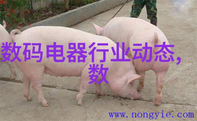 流水线输送设备 - 自动化生产的基石高效流水线输送设备的应用与发展