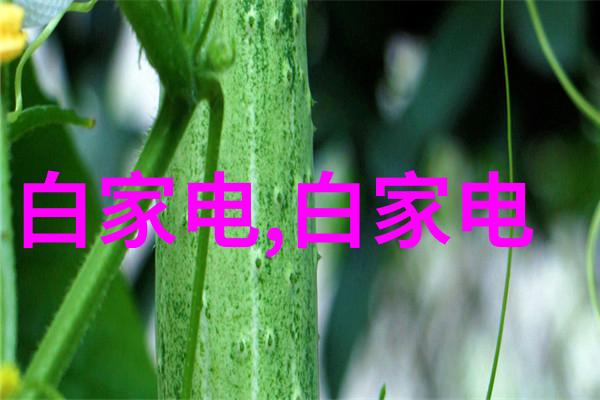 危废处理设备的未来趋势与发展方向