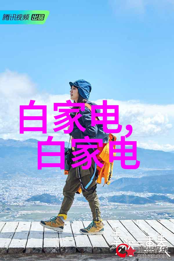 核心逻辑单元在芯片设计中扮演什么角色