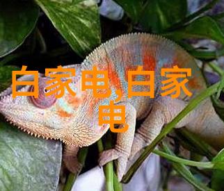 小型蒸汽发生器-微型热能转换与蒸汽输出系统