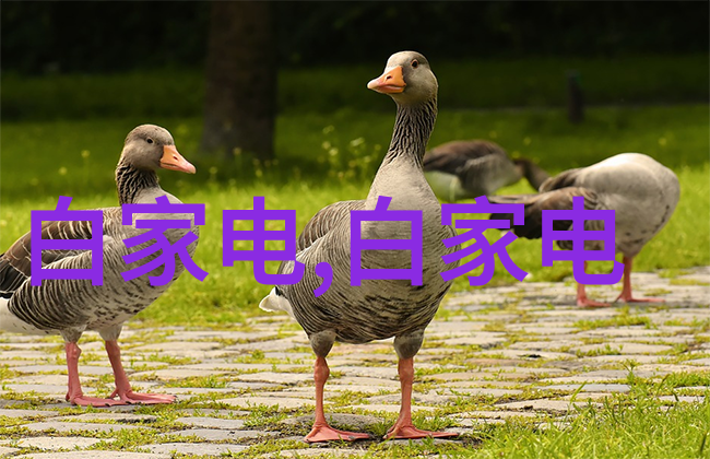 小型除尘除烟设备-清新空气的守护者小型除尘除烟设备的应用与选择