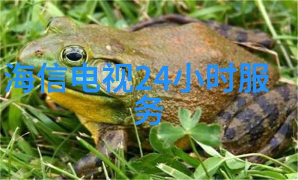 排查常见问题解决方案遇到难题时处理方法大全