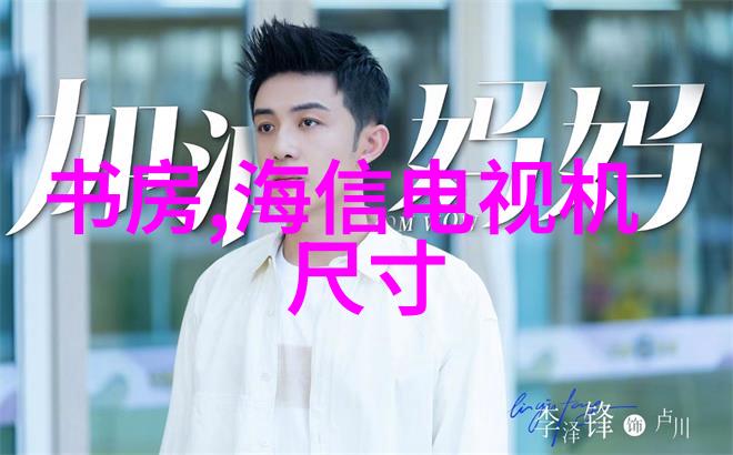 探索梦想居所房子装修设计图片大全中隐藏的创意之谜