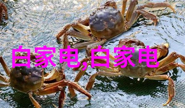 对于敏感人群来说哪些因素决定了对环境需求如婴儿老年人等