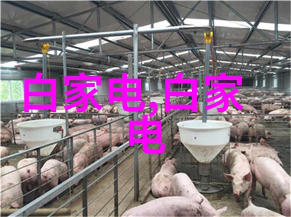 无缝不锈钢管我的生活的坚固支柱