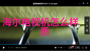 逆袭奇缘翅膀上的8天8夜