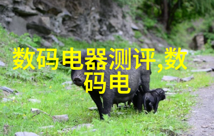 码上享瘦探秘一二三四码的无人区免费之谜