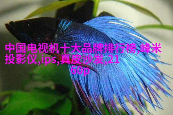 盘子女人坊现场爆棚，门庭若市