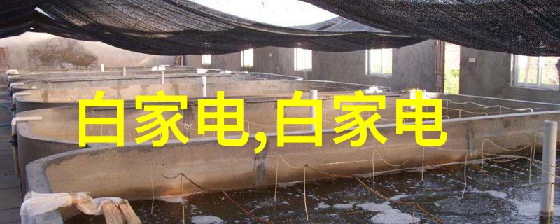 煤泥干燥设备我来告诉你一个省心的解决方案