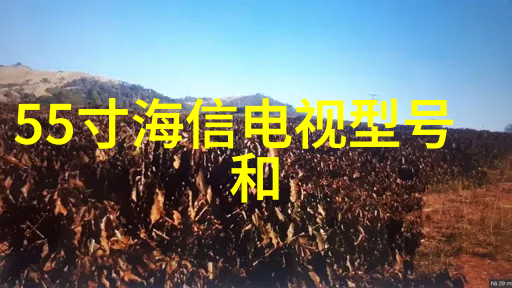 细腻沉默的城市肌理