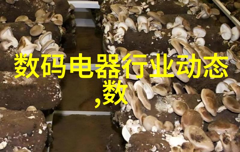 大连智能交通网我是如何在大连的智网中轻松通勤的