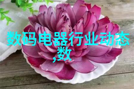 实验室中常见的真空设备及其操作规范