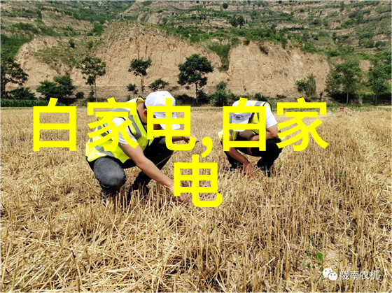 永诺摄影棚里的光影试炼一瞬间的静默中心灵的深度被捕捉