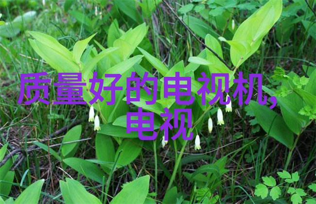 化工固体药品检测技术高精度分析方法