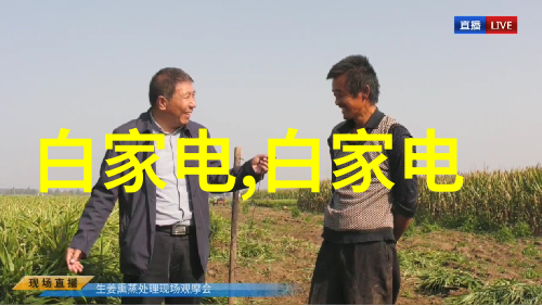 西南财经大学-探索卓越西南财经大学的经济学教育与创新实践