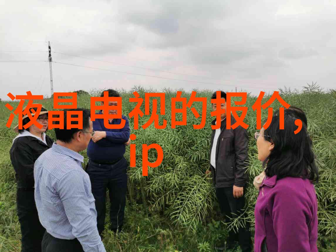 豆制品微波烘焙杀菌设备