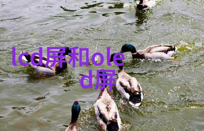 不锈钢市场动态分析剖析最新价格走势图中的内在驱动力与宏观影响因素