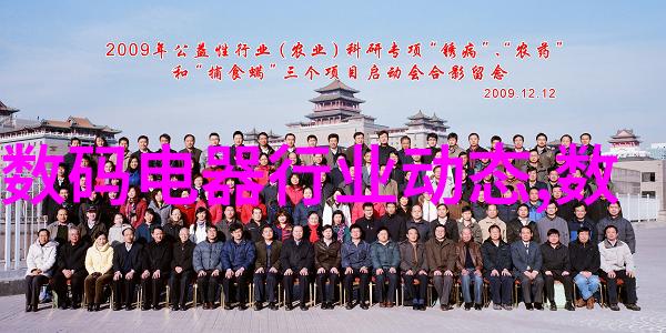 个人信用报告揭秘您的信誉档案
