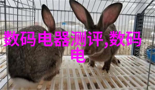 沙场铁衣百战纪实军事装备的磨难与荣耀