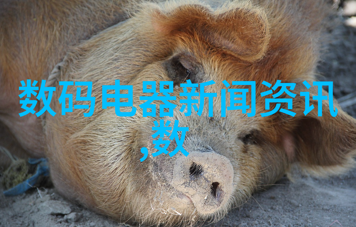 PE排水管的选择与安装确保家庭生活的干净舒适
