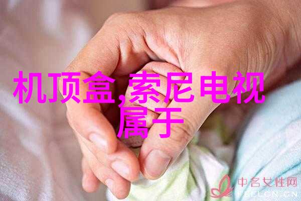 PE管材厂家高品质材料的选择者与提供者