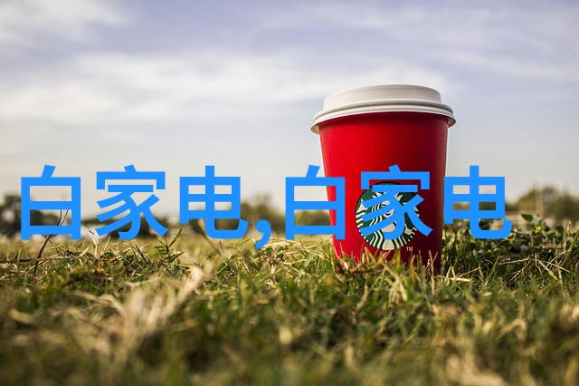 年轻母亲的翻译挑战完整视频纪实