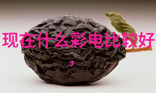 化工包衣机械高效环保的化学反应保护装置