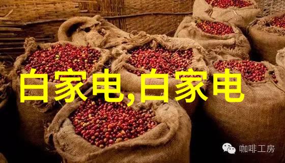 高压蒸汽灭菌器的灭菌参数-精确控制高压蒸汽灭菌器操作指南