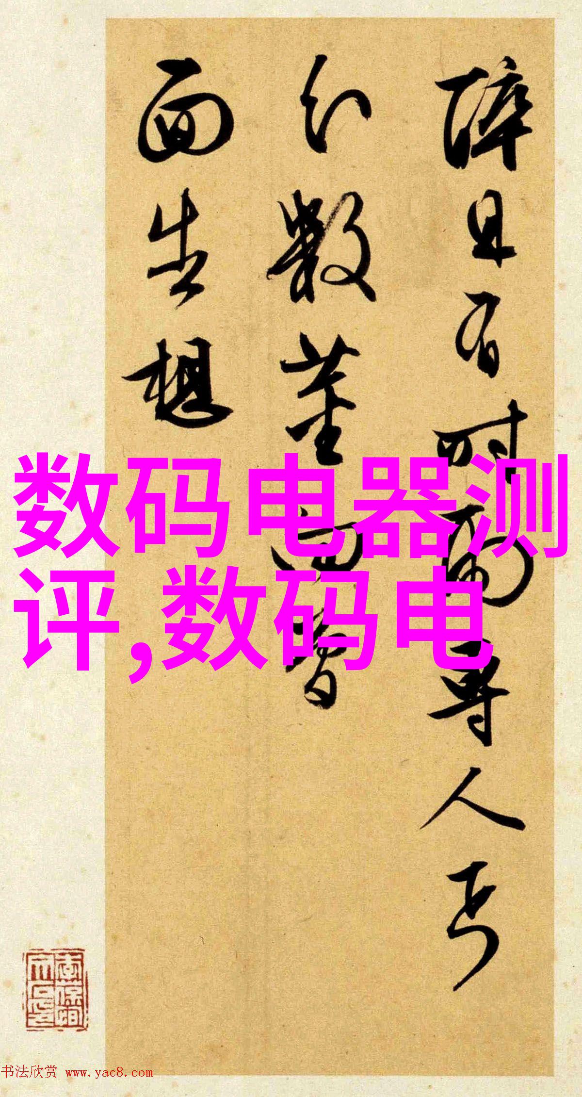 PE料类型详解从常规到特殊哪种适合你