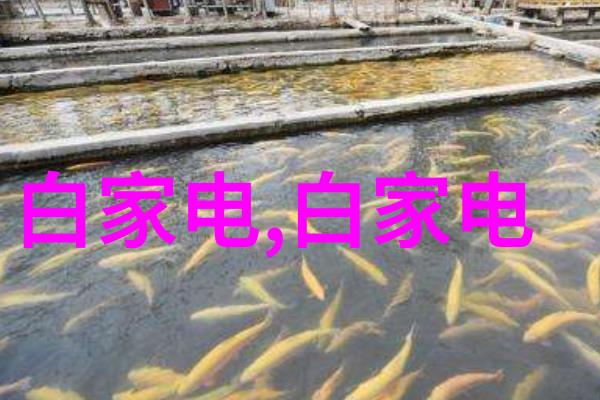郑州不锈钢制品定做厂家精益求精的工艺与创新服务