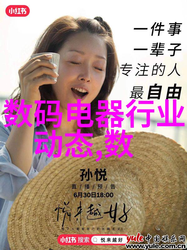 能源转化中的燃料和反应火焰爆炸和动力