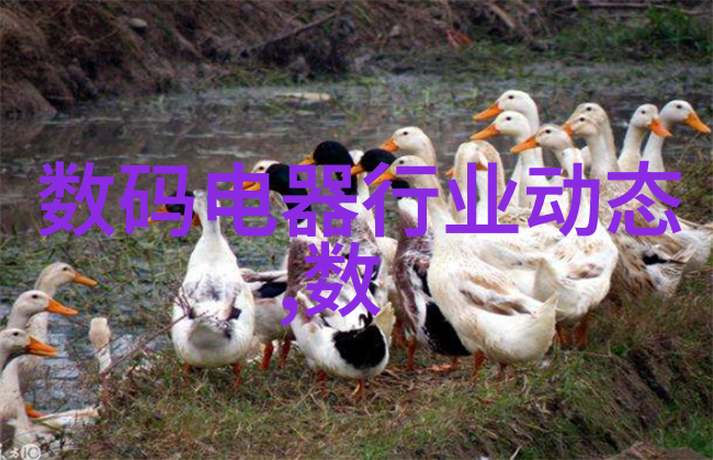 屠宰设备高效的肉类加工之关键