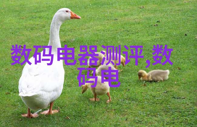 家庭污水处理器家用厨余垃圾处理设备