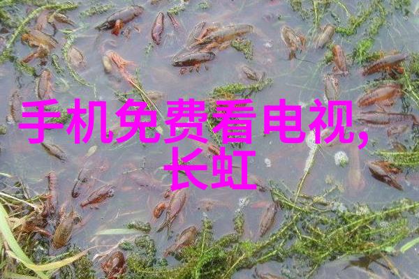 从微小的晶片到宏大的科技揭秘那些让世界运行的小小英雄