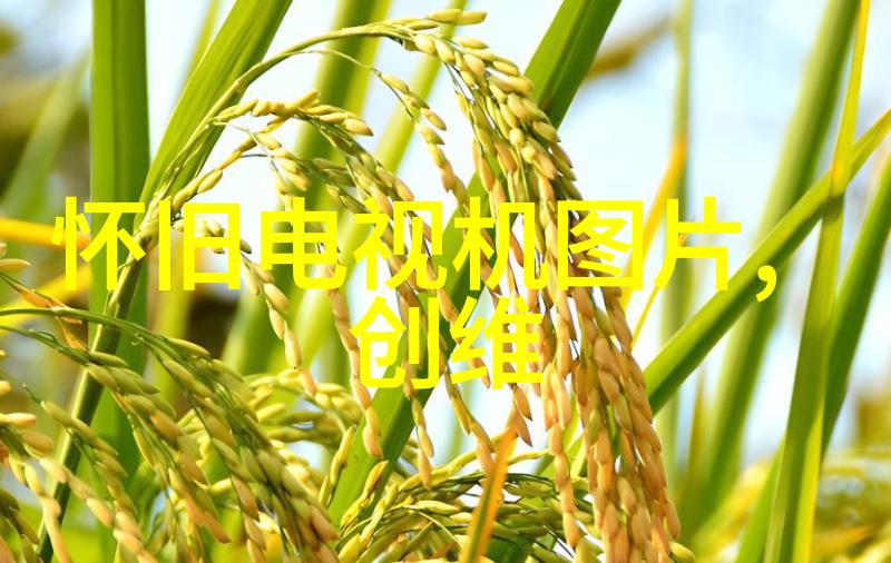 磨煤机的运作原理与维护重要性