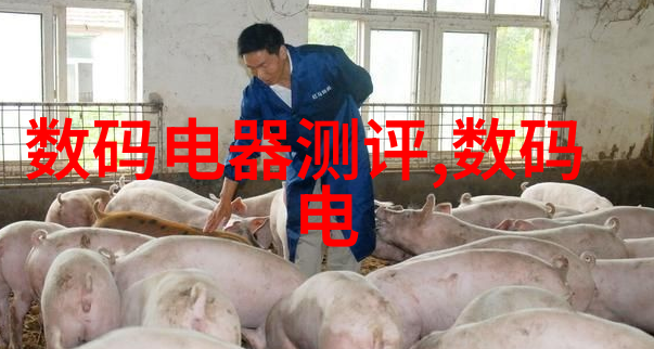 窗外景色未必重要内心装饰更亮眼最新客厅装修效果图片大全解析上海卫生间无窗户的美学解决方案