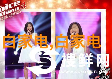 输送设备的精妙之处如何高效提升物料运输效率