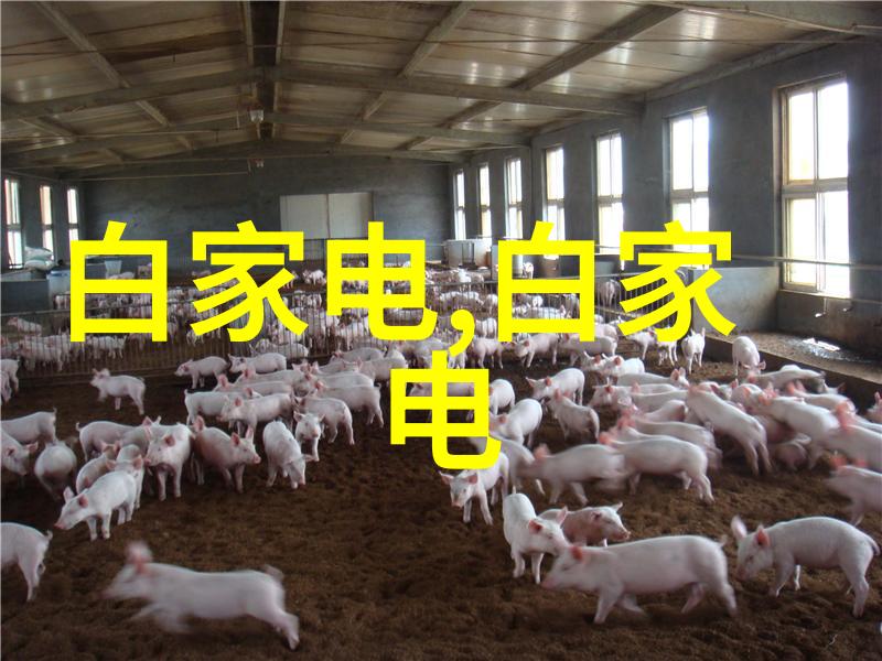 外墙砖的秘密它们真正的故事是什么